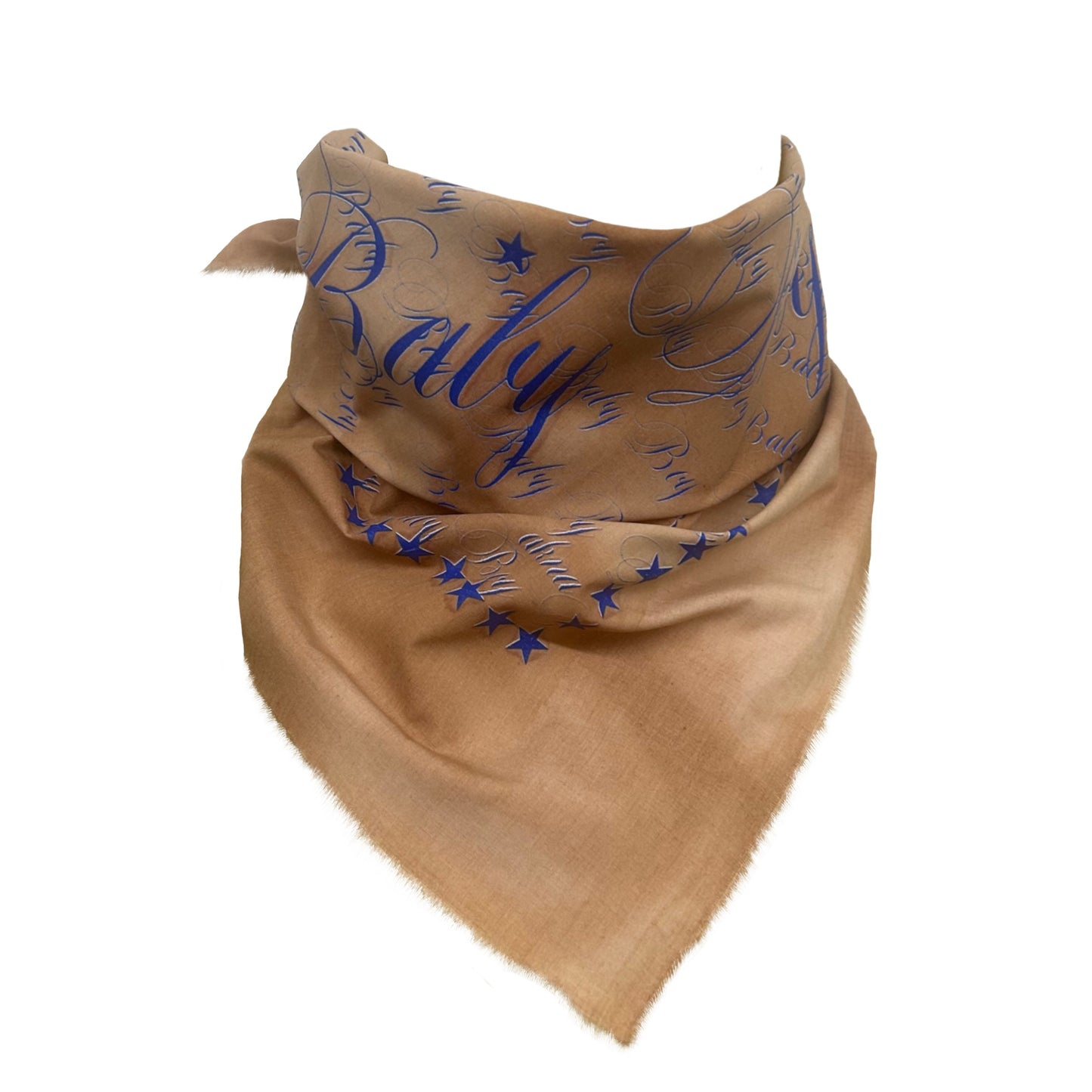 BabyBoy Bandana